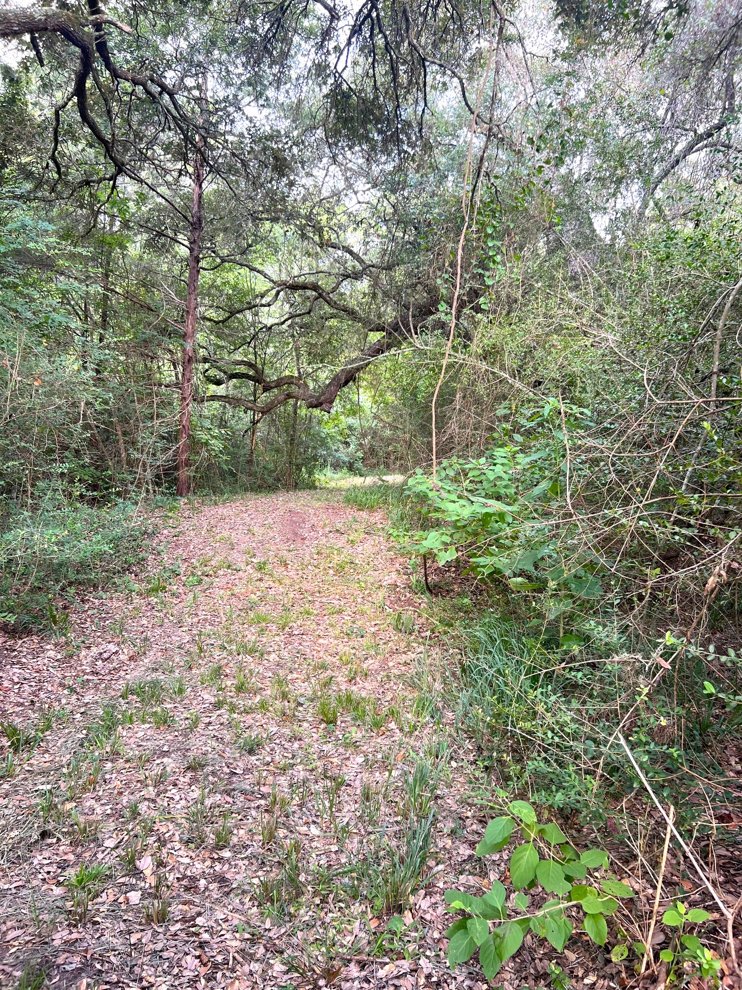 217 County Road 217 Weimar, TX 78962 - Photo 15 of 21