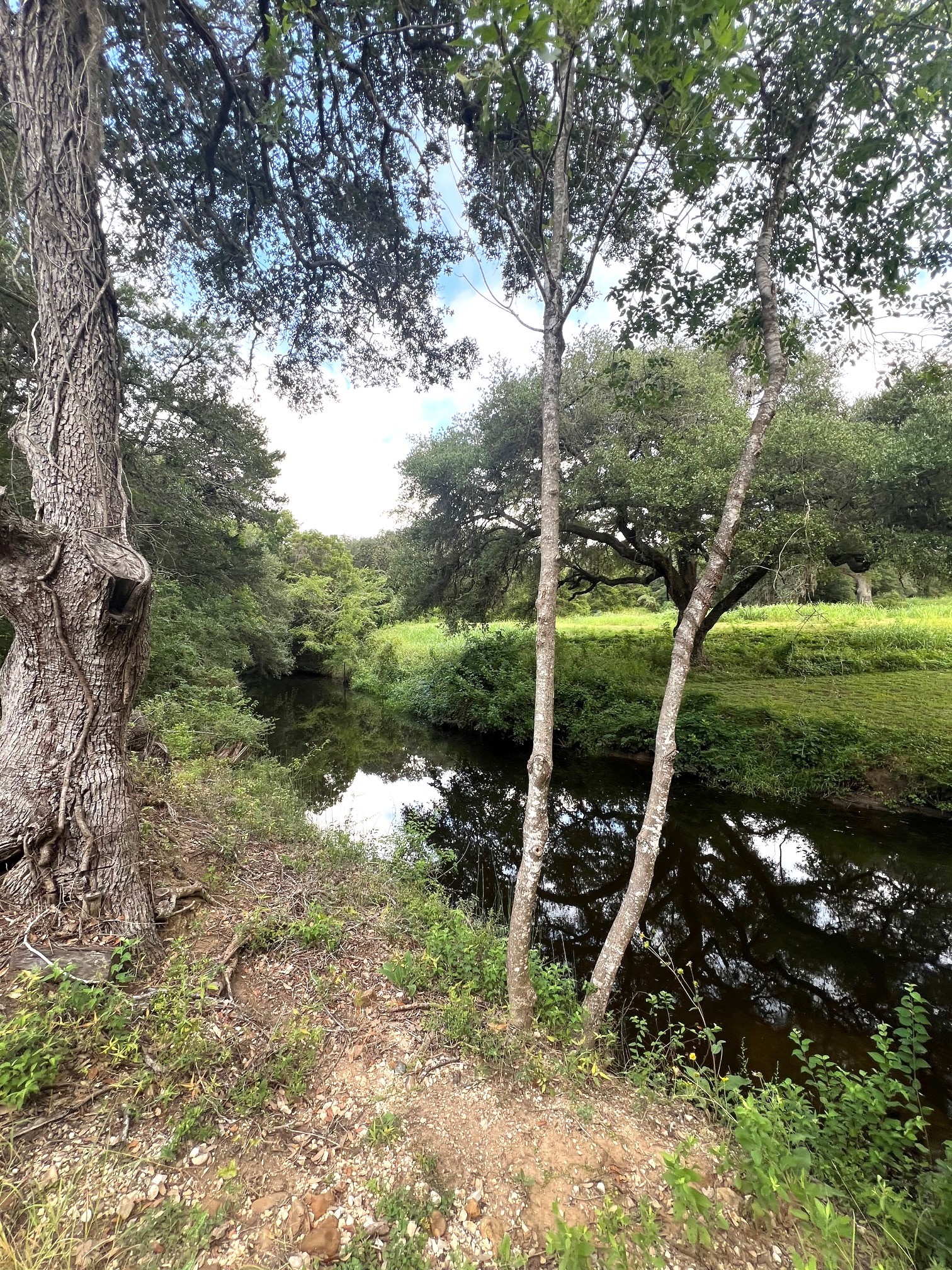 217 County Road 217 Weimar, TX 78962 - Photo 16 of 21 Spring Fed Creek on North and south boundaries