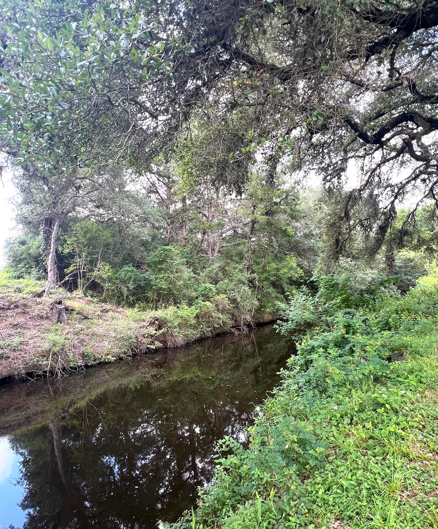 217 County Road 217 Weimar, TX 78962 - Photo 18 of 21 Creek