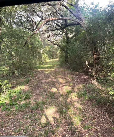 $2,592,000 | 217 County Road 217, Weimar, TX 78962