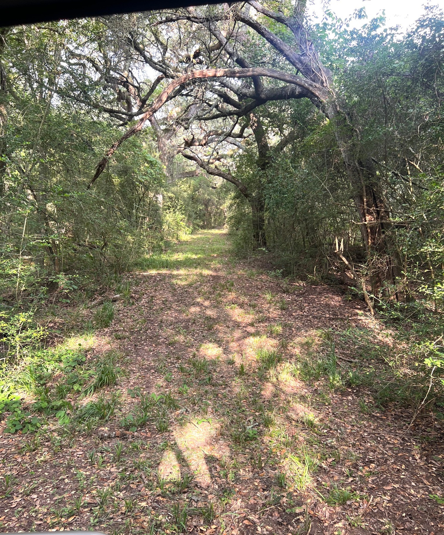 217 County Road 217 Weimar, TX 78962 - Photo 19 of 21