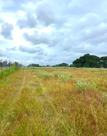 $2,592,000 | 217 County Road 217, Weimar, TX 78962