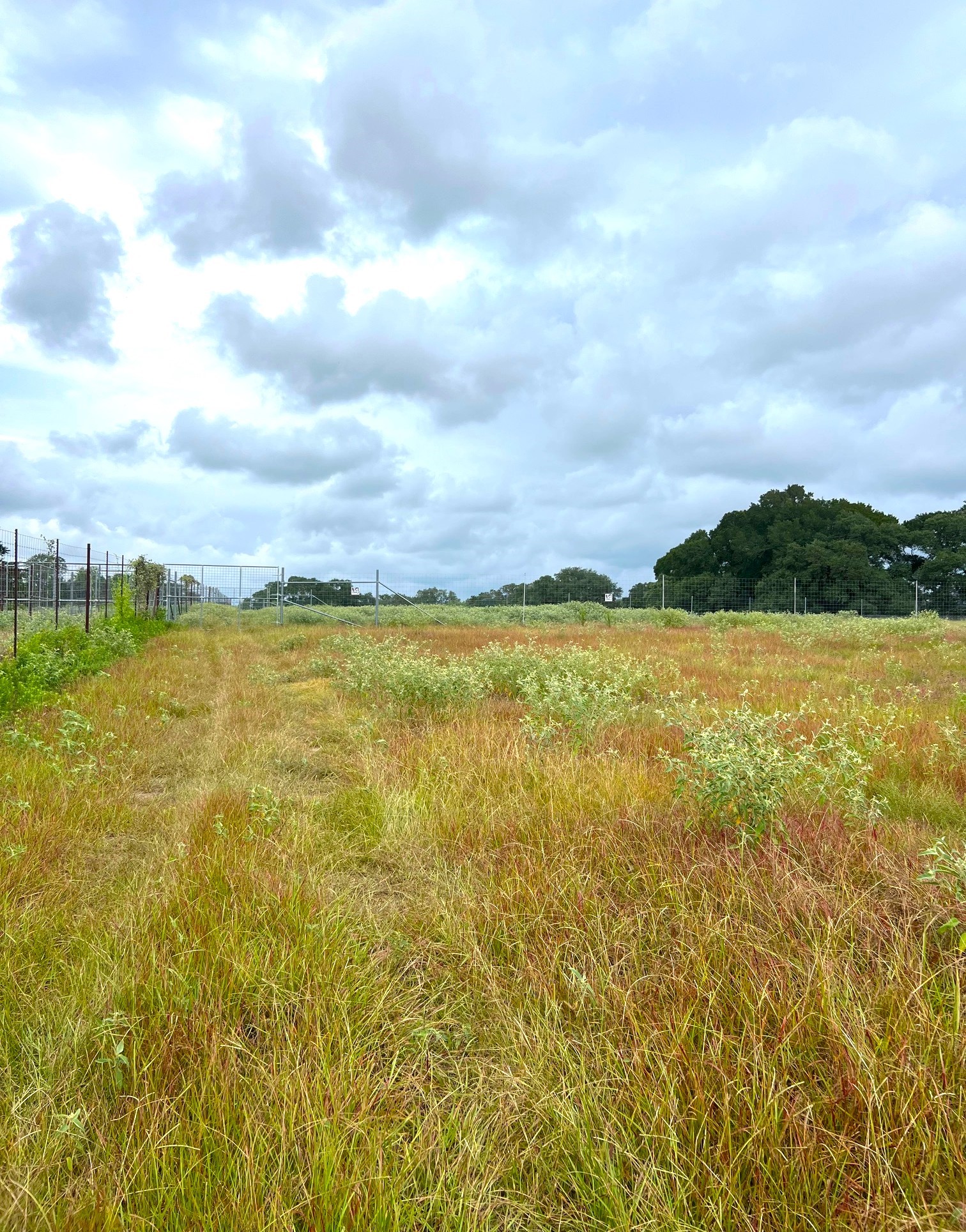 217 County Road 217 Weimar, TX 78962 - Photo 20 of 21