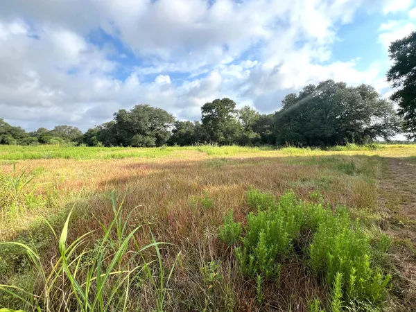 $2,592,000 | 217 County Road 217, Weimar, TX 78962