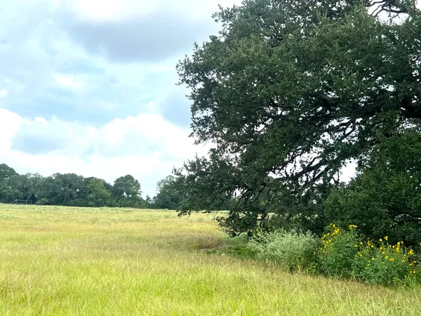 $2,592,000 | 217 County Road 217, Weimar, TX 78962