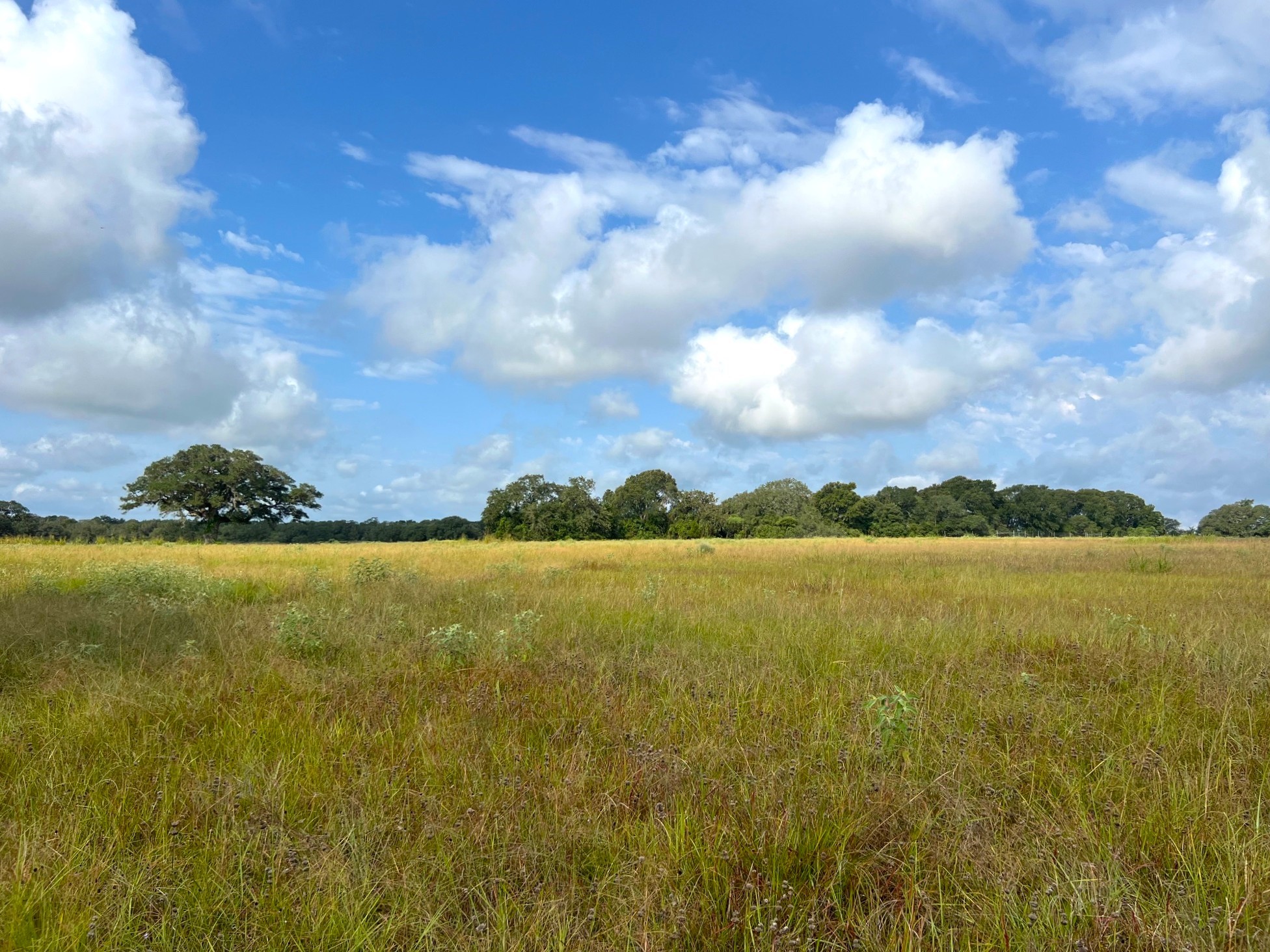 217 County Road 217 Weimar, TX 78962 - Photo 9 of 21