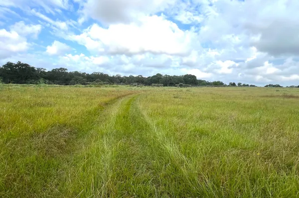 $2,592,000 | 217 County Road 217, Weimar, TX 78962