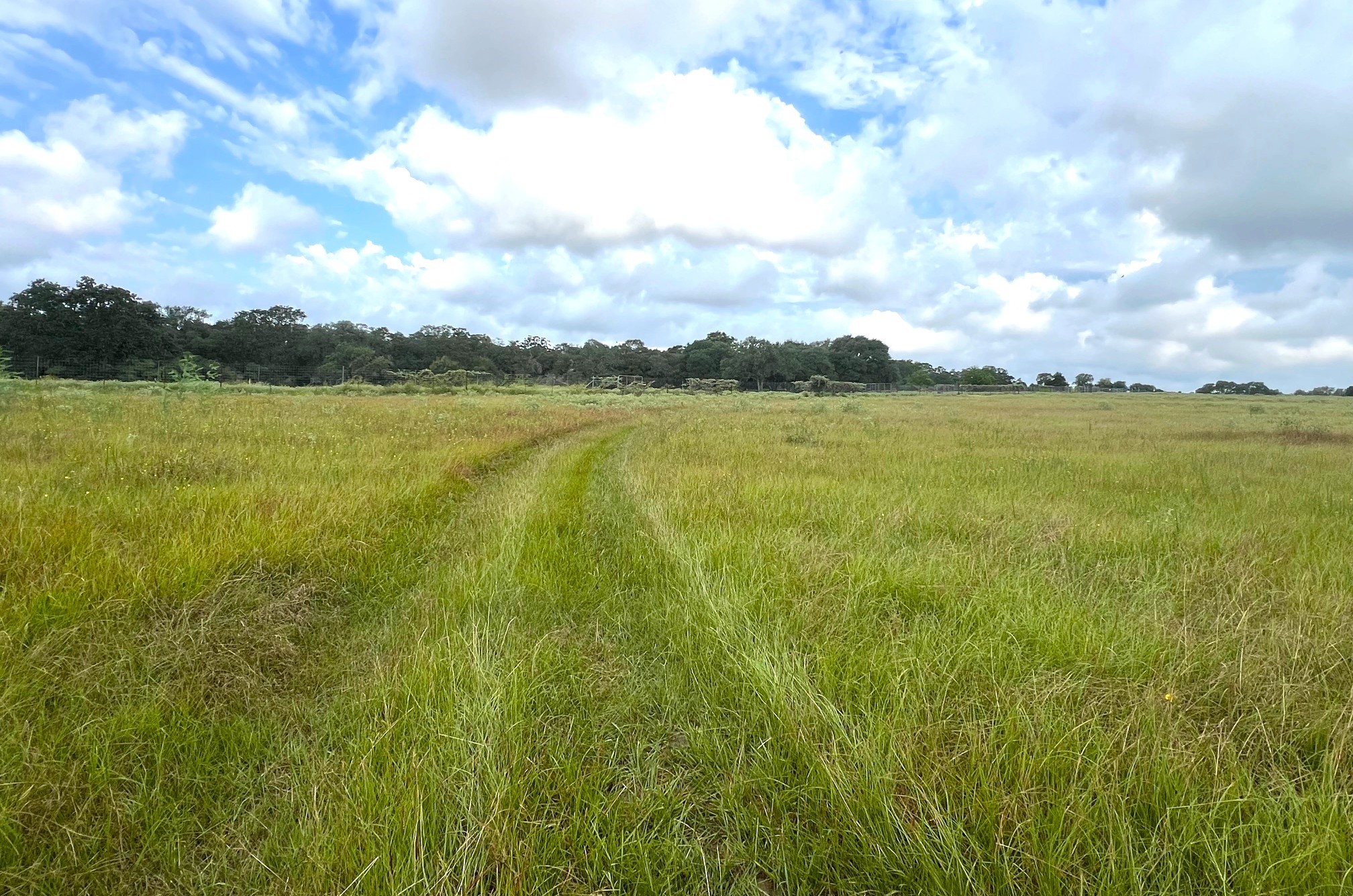 217 County Road 217 Weimar, TX 78962 - Photo 10 of 21