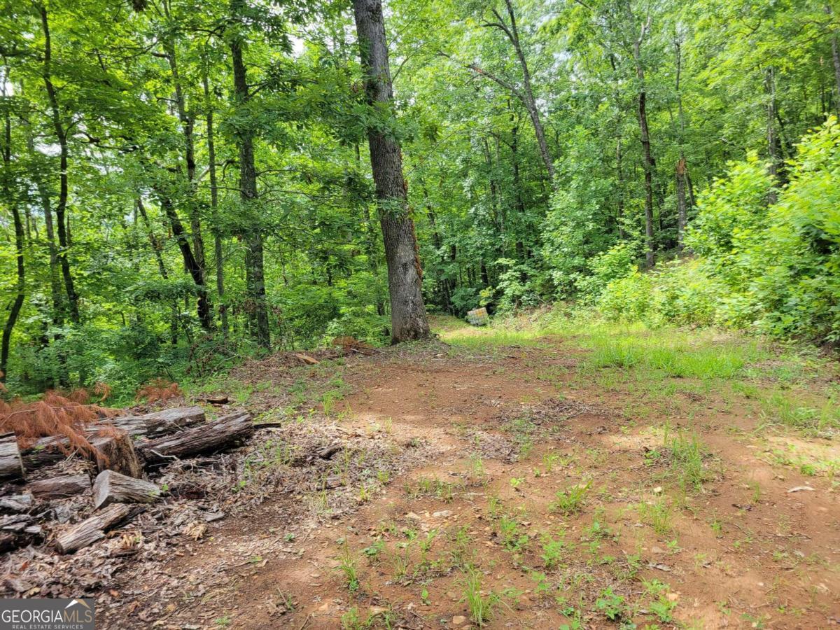 Lot 4 Rainbow Ridge Road Hiawassee, GA 30546 - Photo 1 of 1 Gallery Image 1