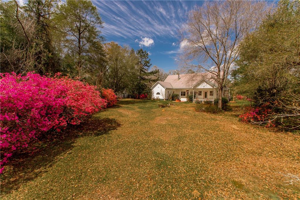 15070 Bruhl Road Folsom, LA 70437 - Photo 41 of 44