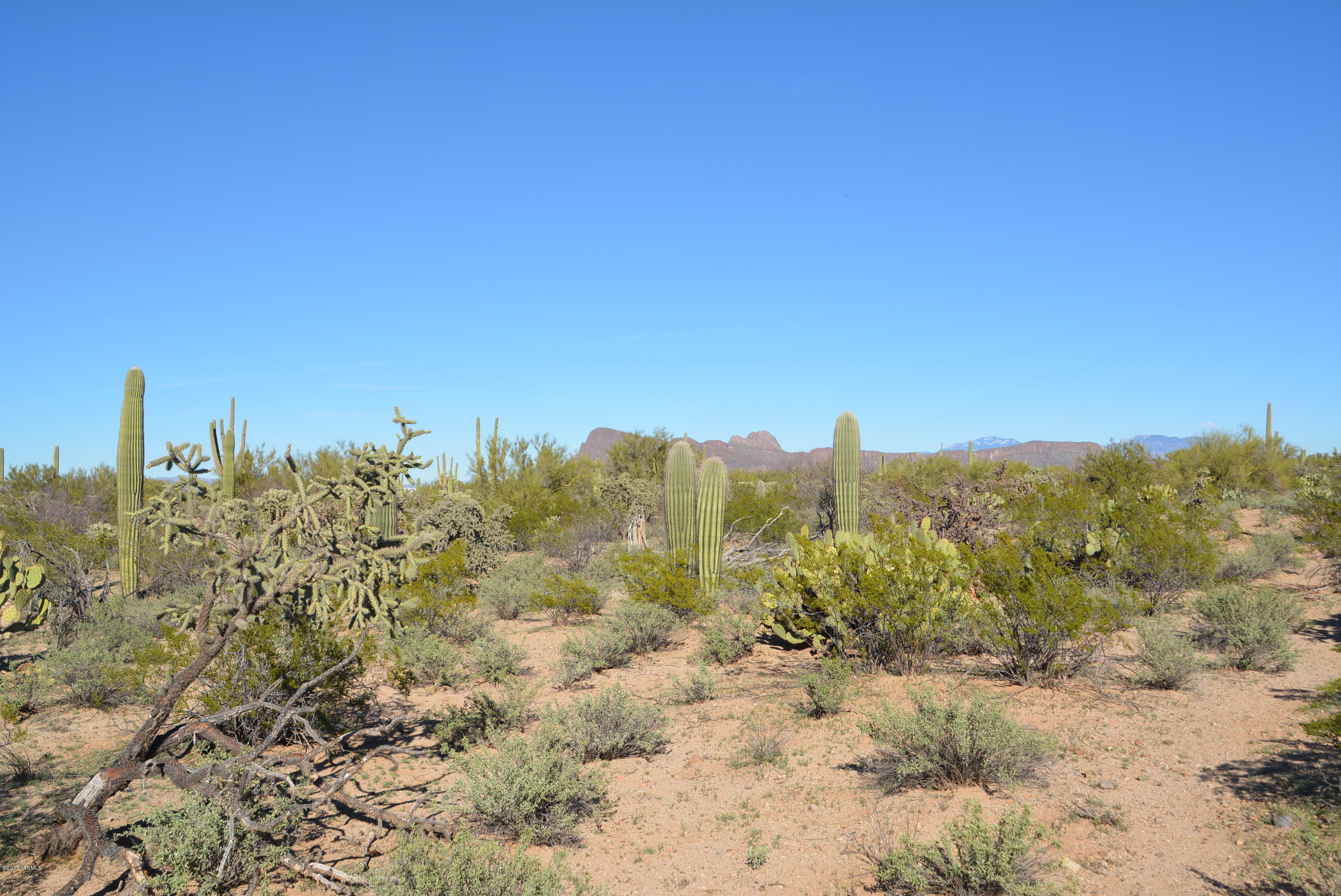 11700 West Rudasill Road, Unit LOT 4 Tucson, AZ 85743 - Photo 30 of 33