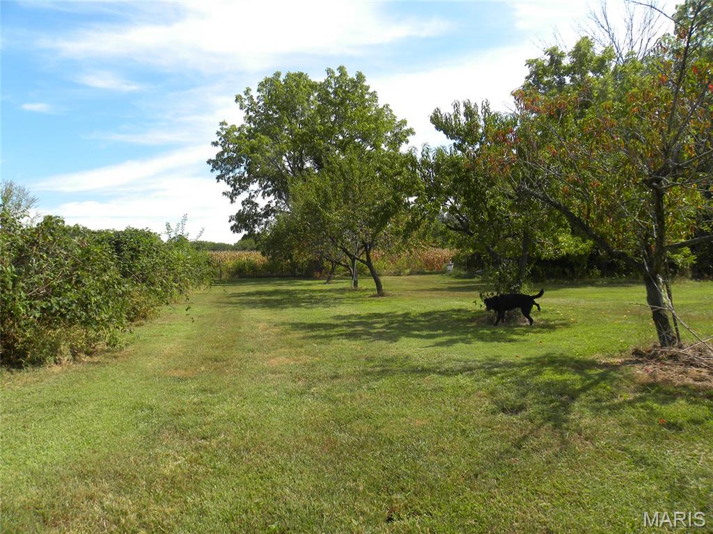 21512 Richey Hollow Road Jerseyville, IL 62052 - Photo 11 of 50 Gallery Image 11