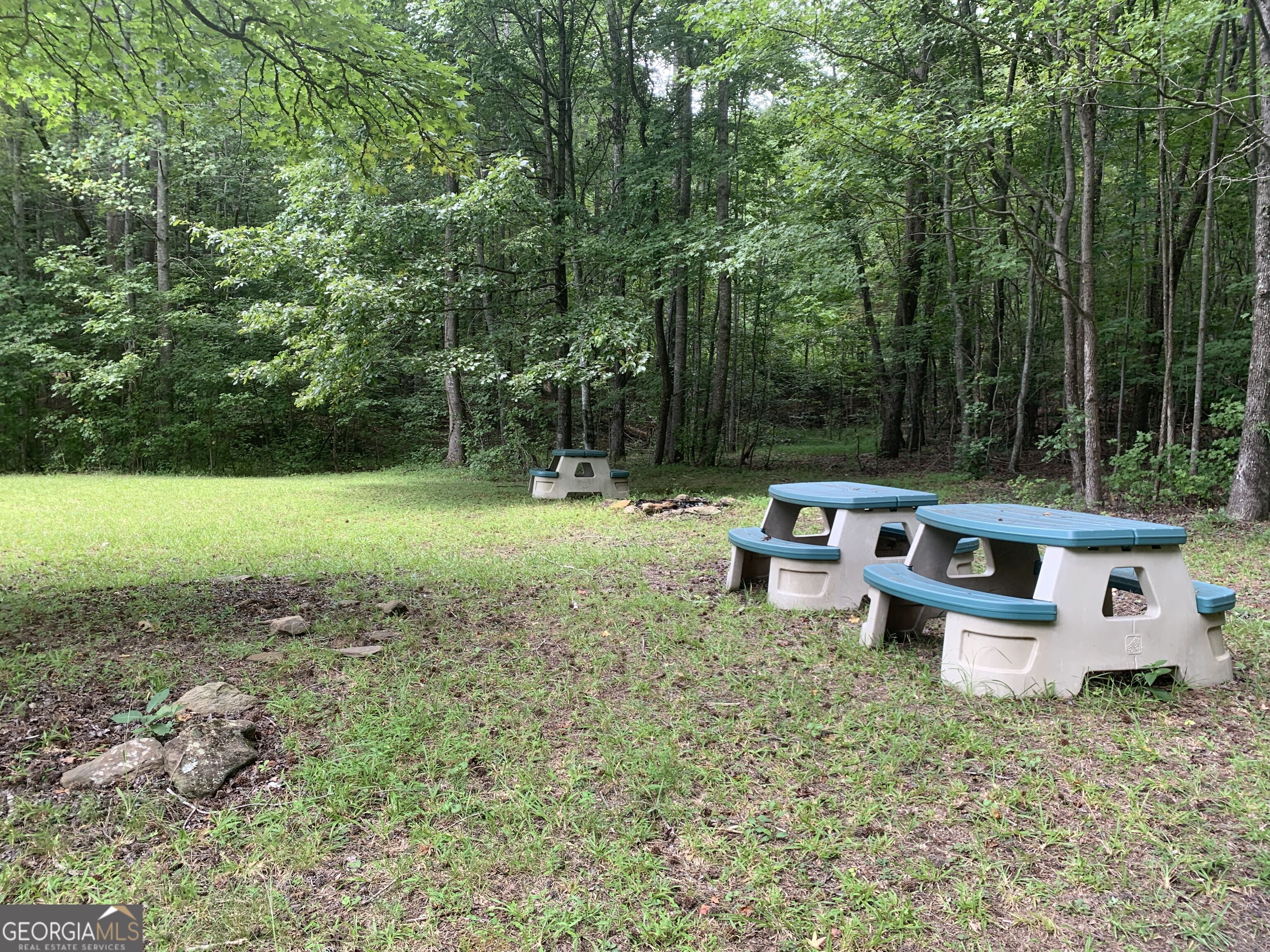 0 Grant Smith Summit Ridge Etc Toccoa, GA 30577 - Photo 22 of 28 Picnic Area