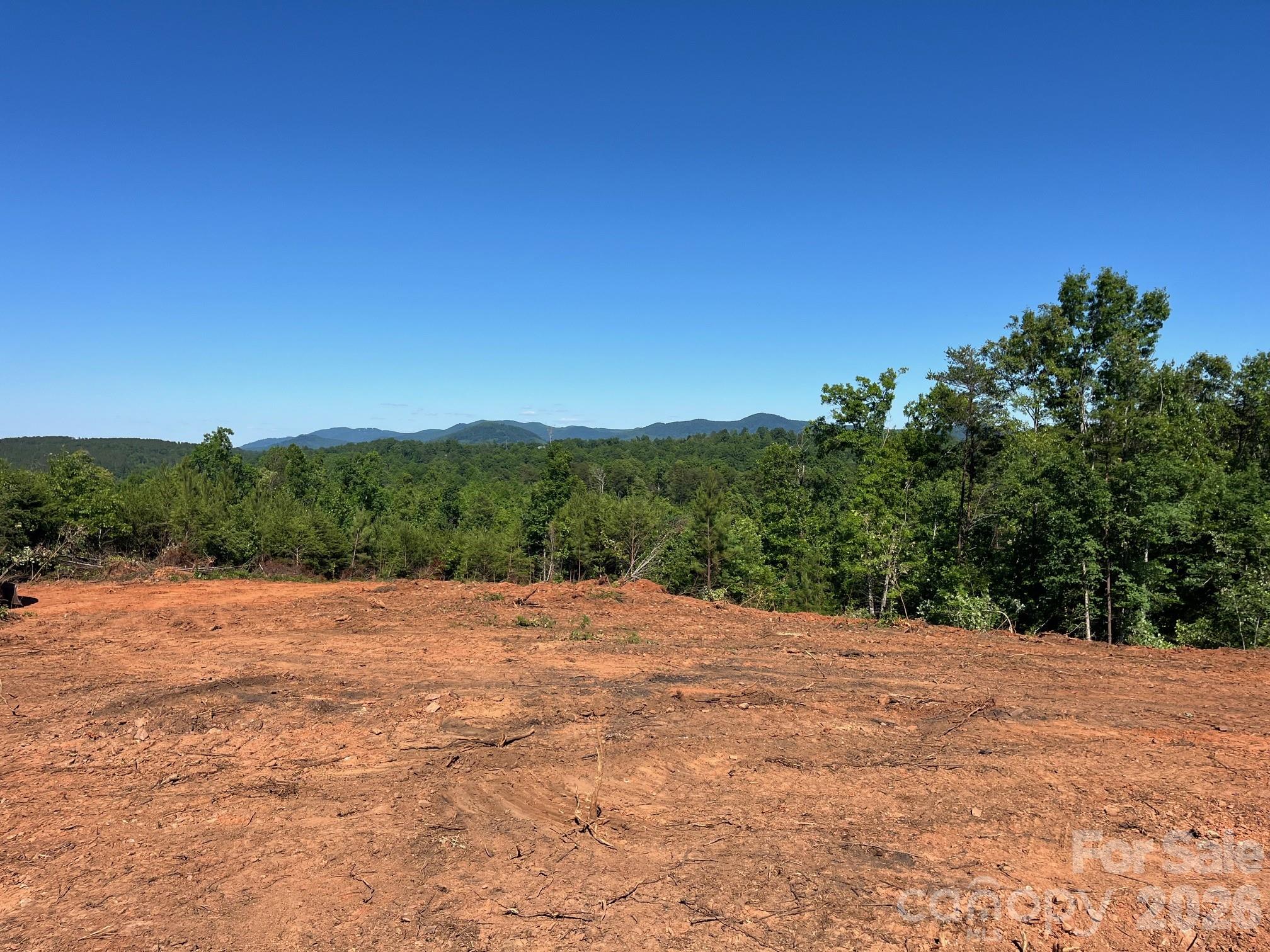 Tbd Vein Mountain Road, Unit 20 Nebo, NC 28761 - Photo 10 of 17