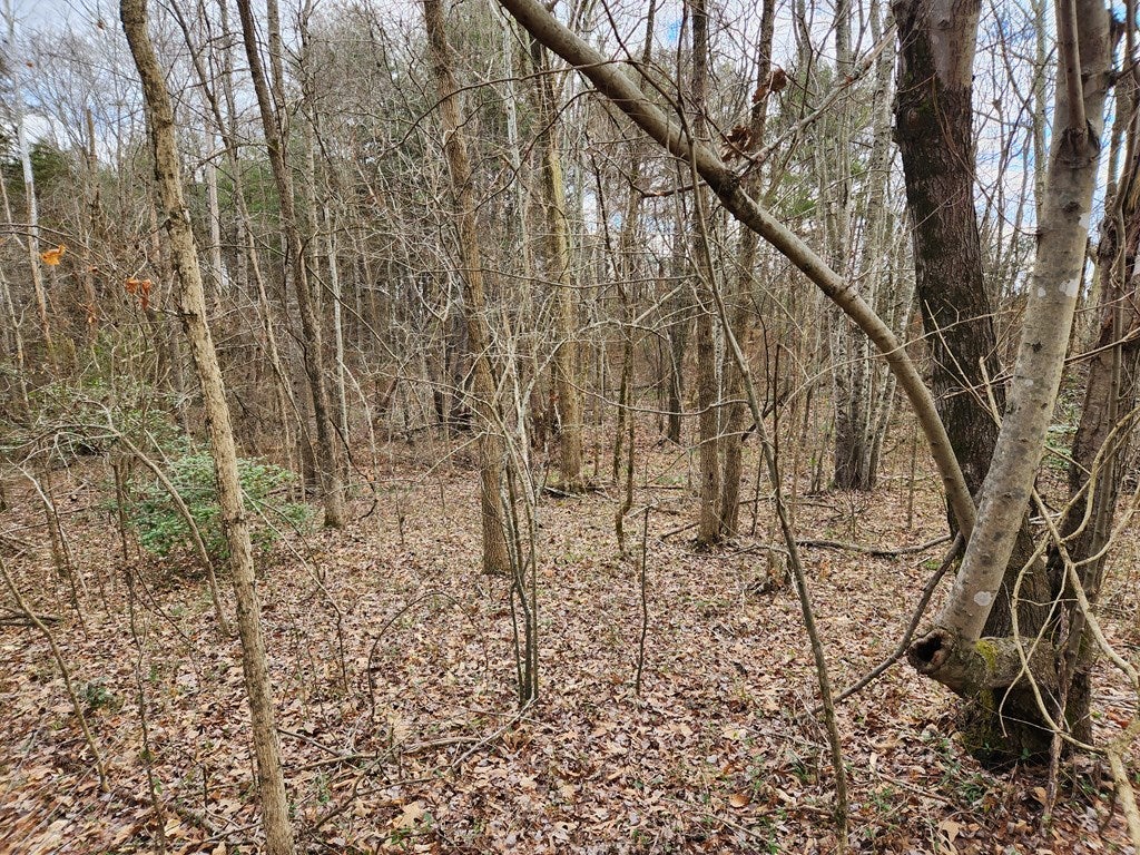 867 Carter Road, Unit 2 Cumberland, VA 23040 - Photo 53 of 57 Gallery Image 53