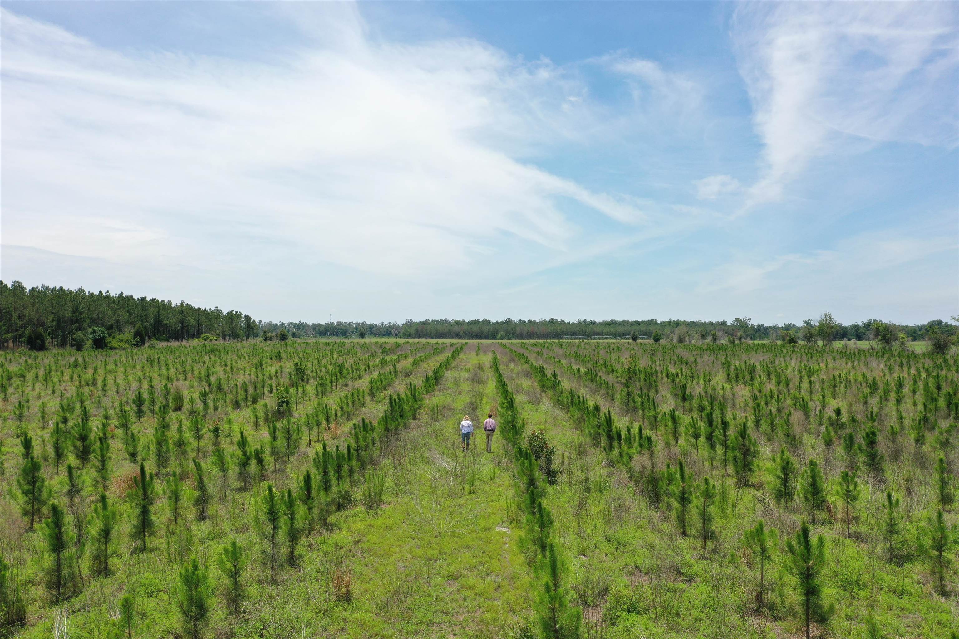 Southwest 86th Boulevard Jasper, FL 32052 - Photo 2 of 15