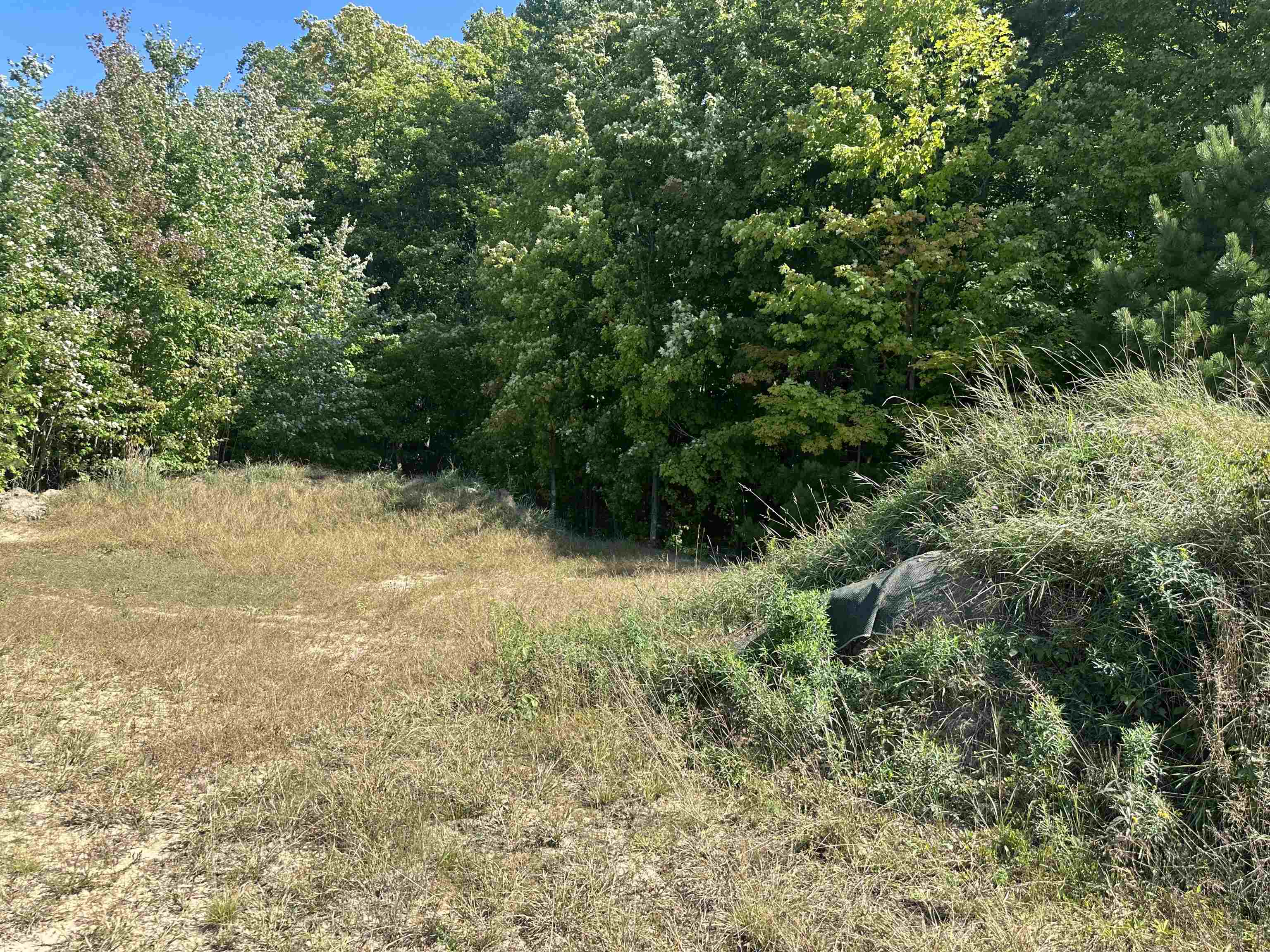 0 Viaduct Road Copemish, MI 49625 - Photo 3 of 19