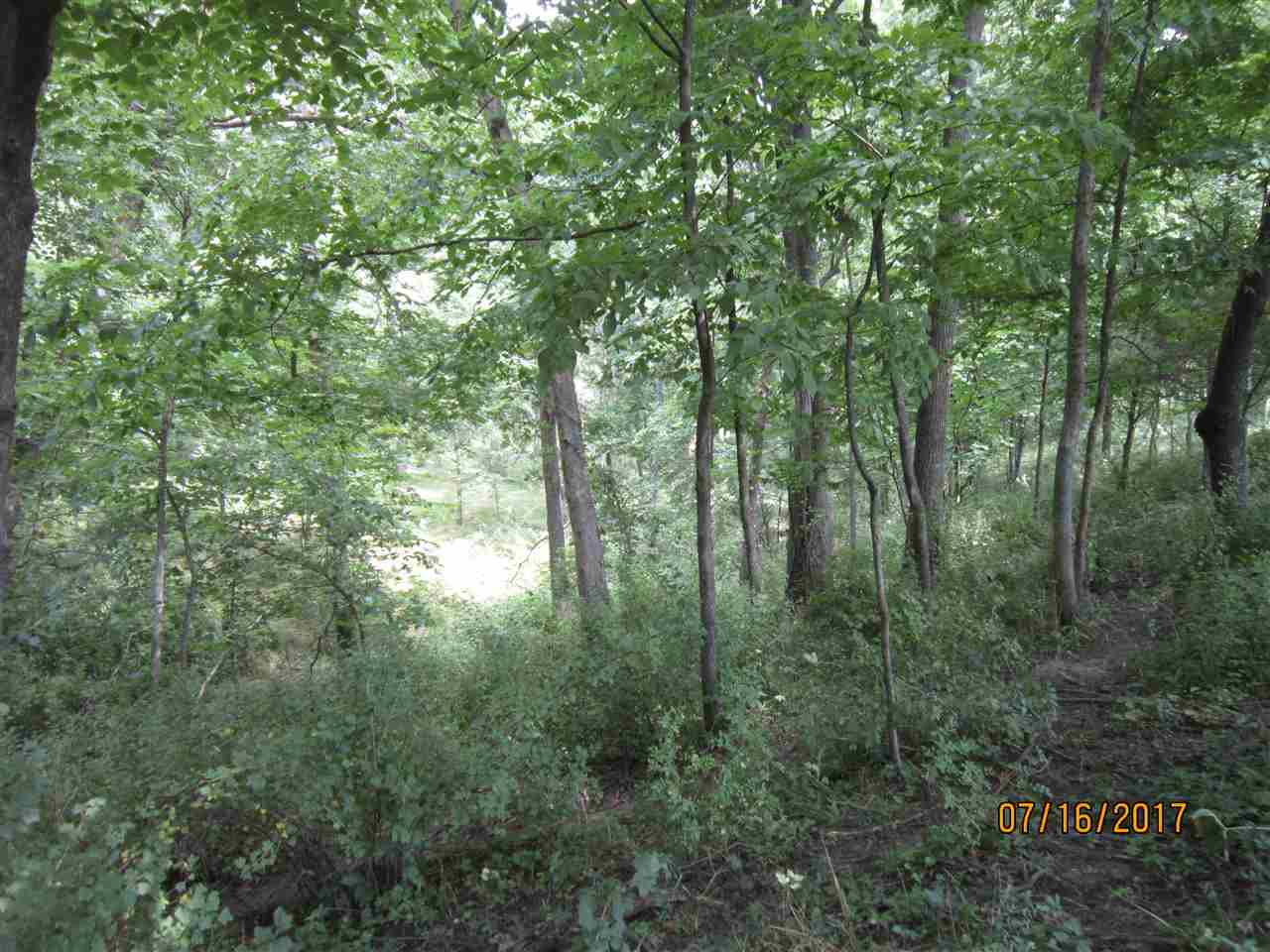 Fischer Road Bernard, IA 52032 - Photo 21 of 24 Gallery Image 21