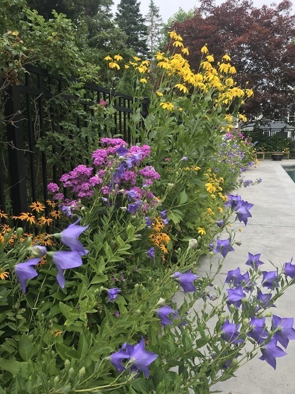 749 Main Street Hingham, MA 02043 - Photo 33 of 42