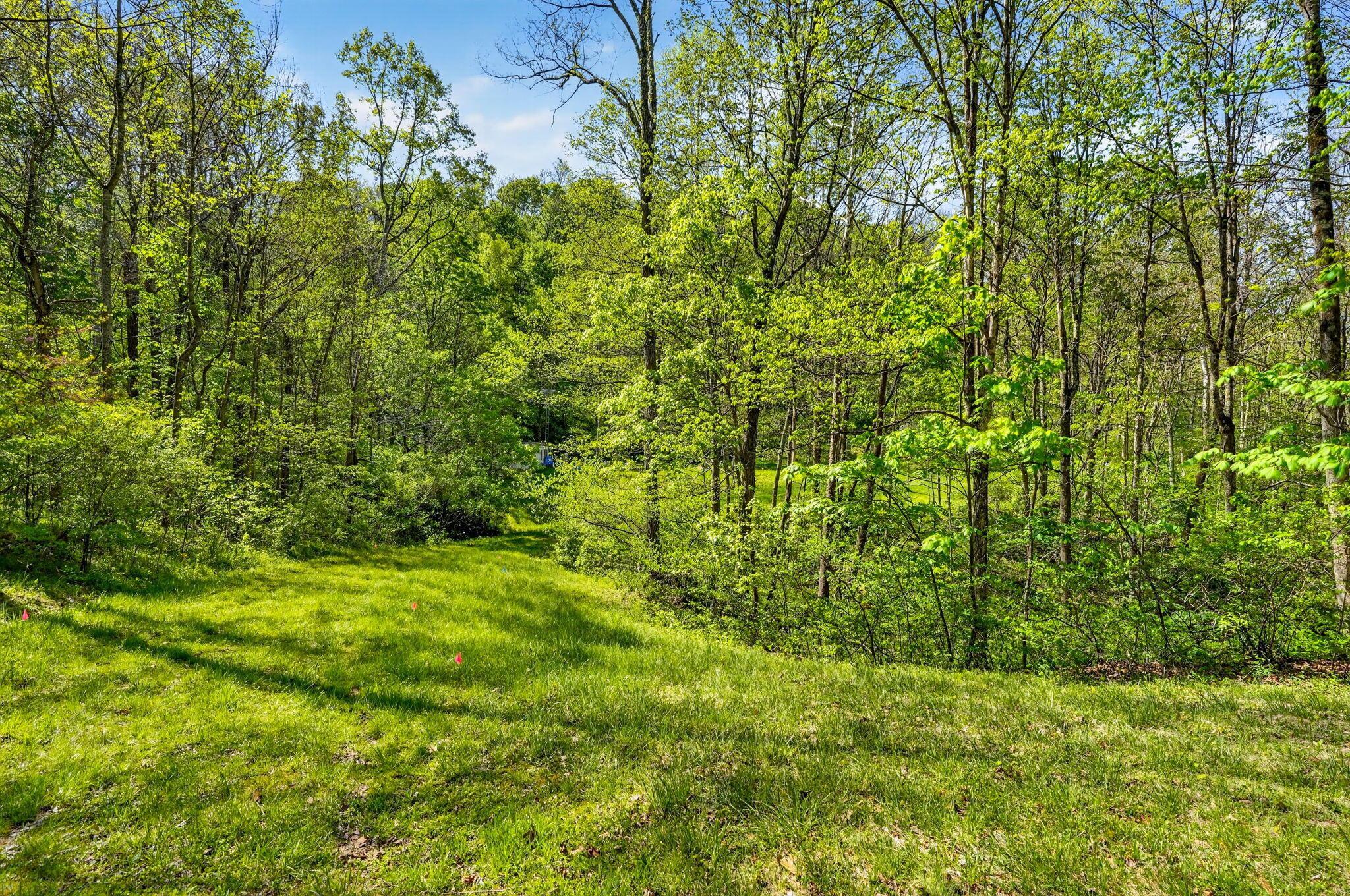 15955 Fossil Rock Road Guysville, OH 45735 - Photo 4 of 28 15955 Fossil Rock Rd