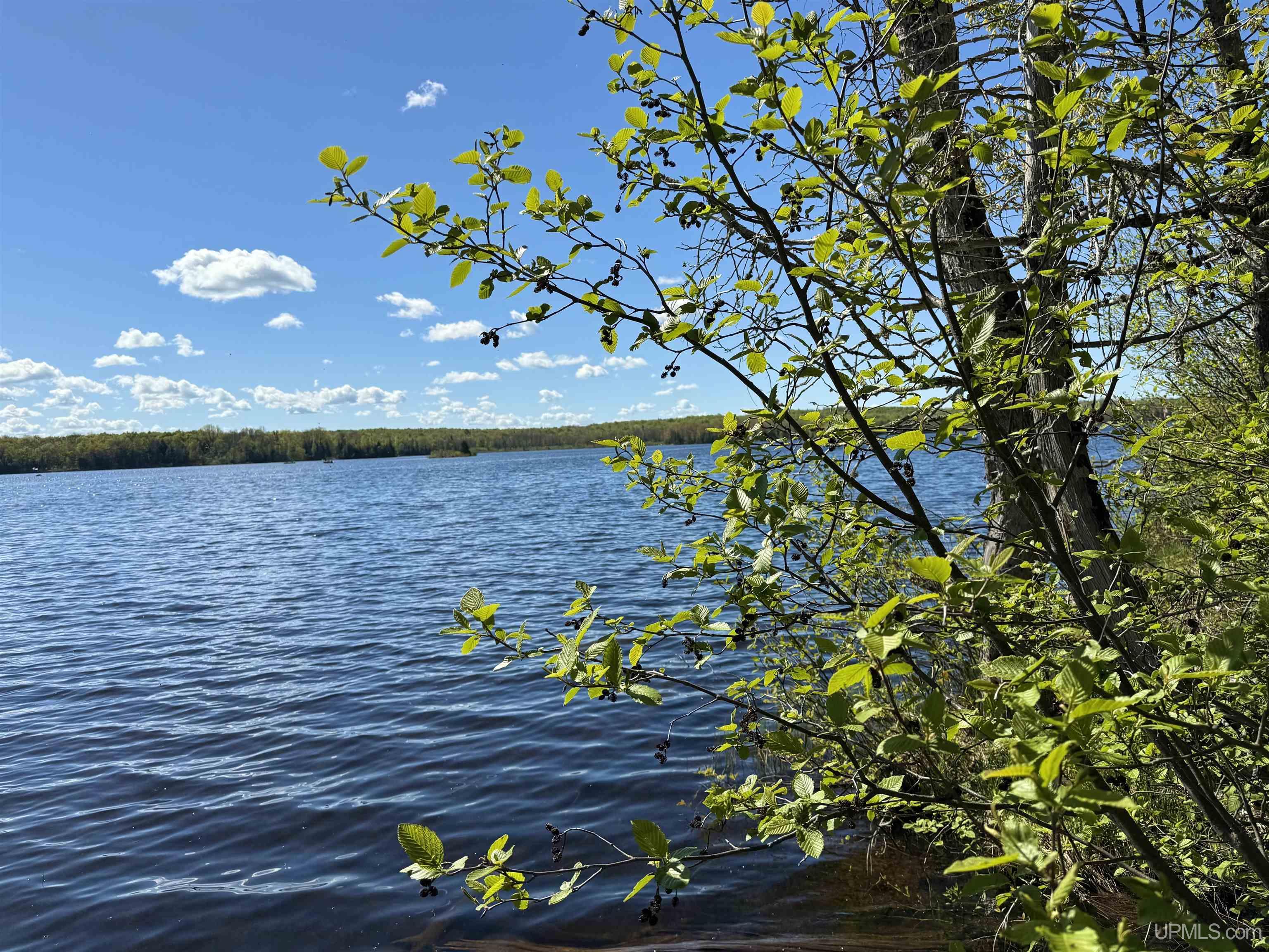Langford Lake Road Watersmeet, MI 49969 - Photo 11 of 23