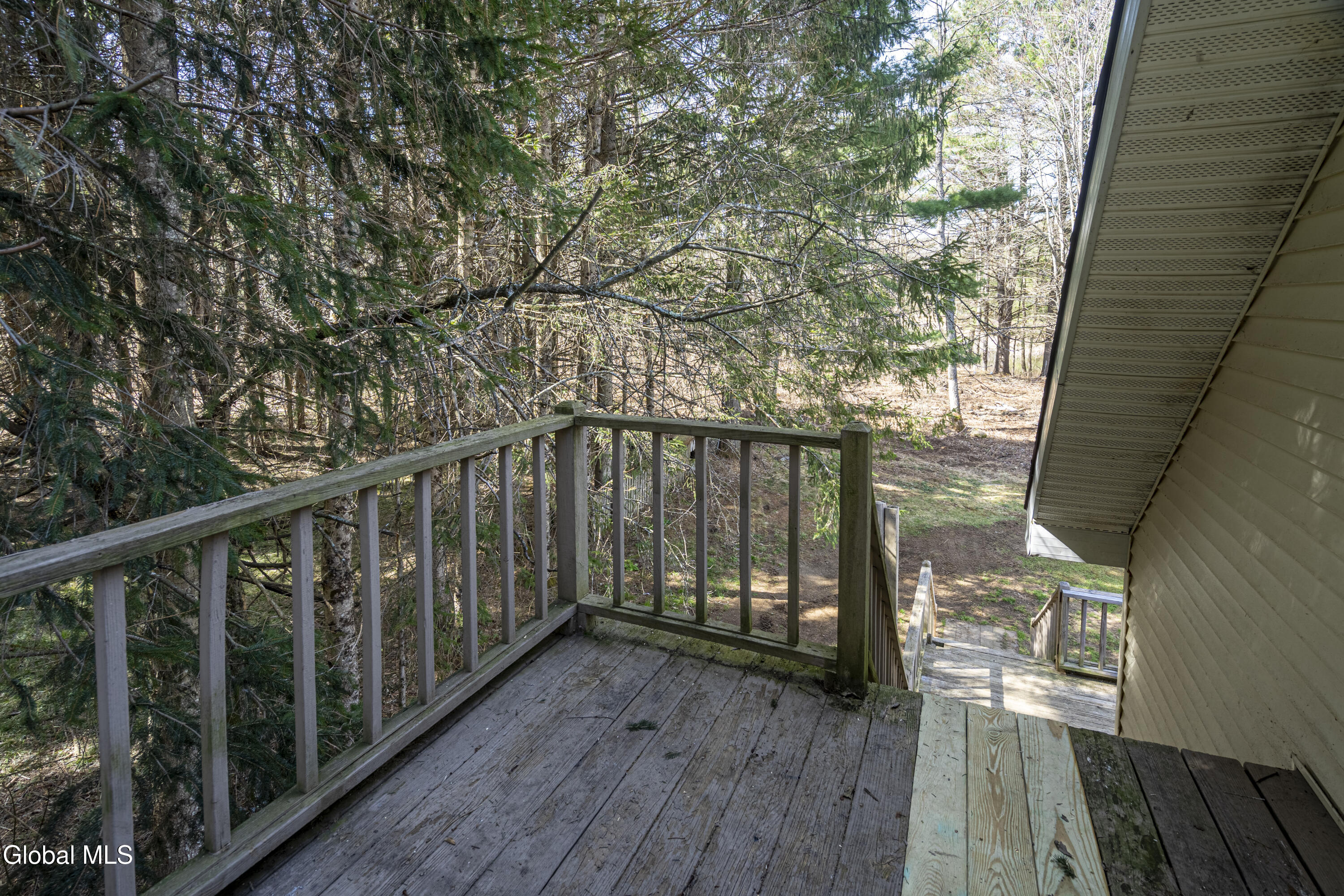 1817 Highway 28N Minerva, NY 12851 - Photo 17 of 35 01-ADKedit-