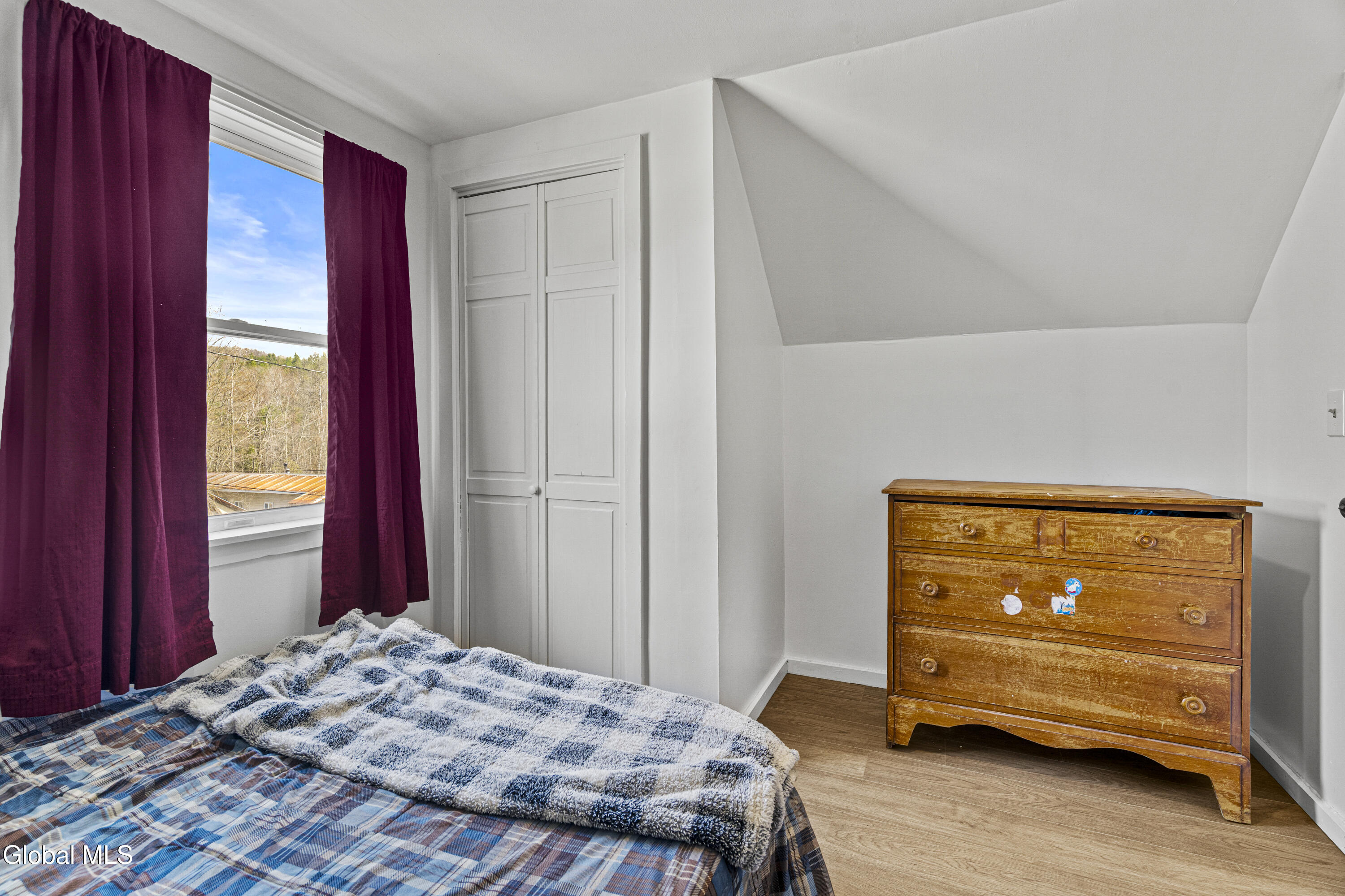 1817 Highway 28N Minerva, NY 12851 - Photo 20 of 35 38-ADKedit-08449
