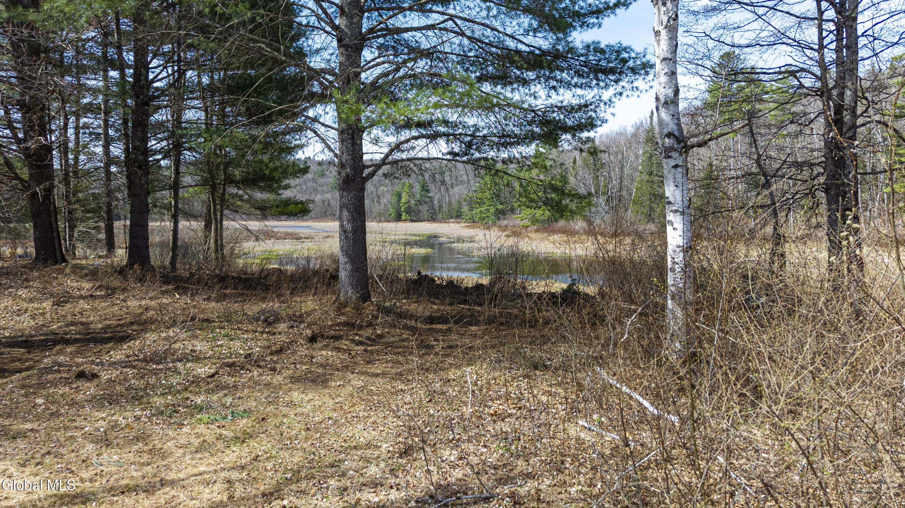 1817 Highway 28N Minerva, NY 12851 - Photo 30 of 35 18-ADKedit--18