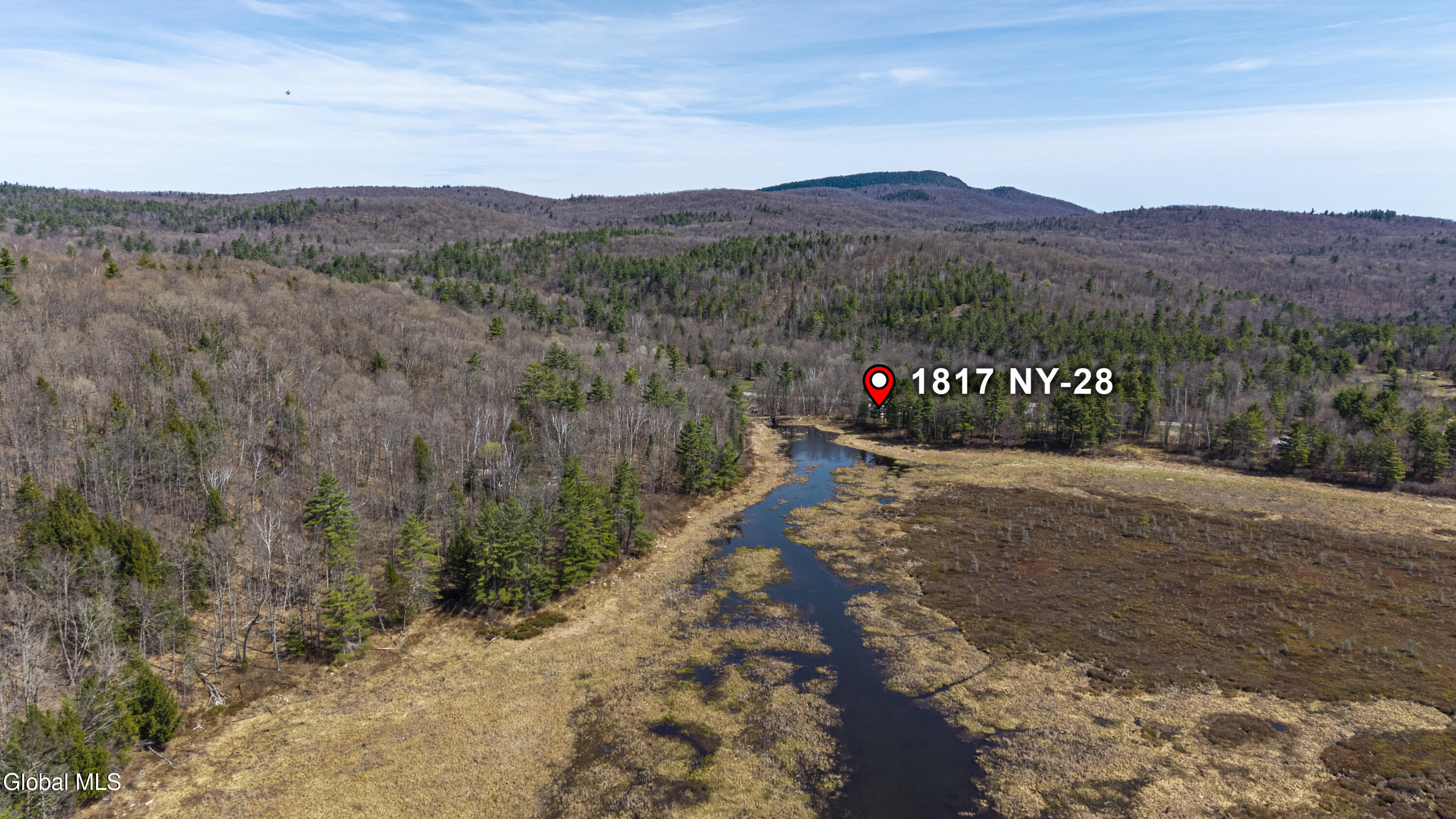 1817 Highway 28N Minerva, NY 12851 - Photo 32 of 35 13-ADKedit--13