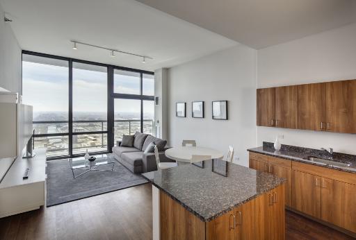 235 West Van Buren Street, Unit 4504 Chicago, IL 60607 - Photo 10 of 11