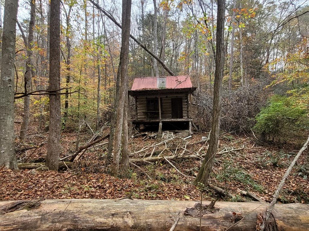 0 Chopped Oak Road Ellijay, GA 30540 - Photo 1 of 12 Main View