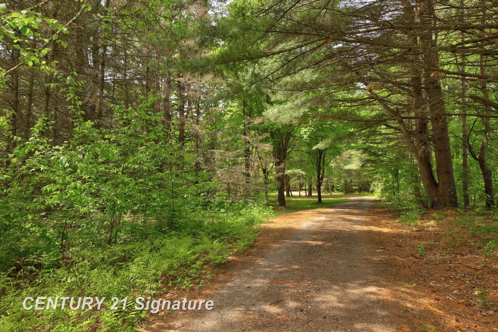 3766 South Kirk Road Vassar, MI 48768 - Photo 2 of 56 Gallery Image 2