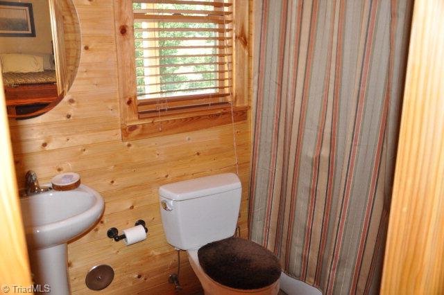 2124 Buck Mountain Road Purlear, NC 28665 - Photo 17 of 22