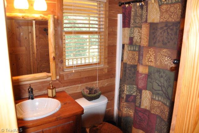 2124 Buck Mountain Road Purlear, NC 28665 - Photo 7 of 22