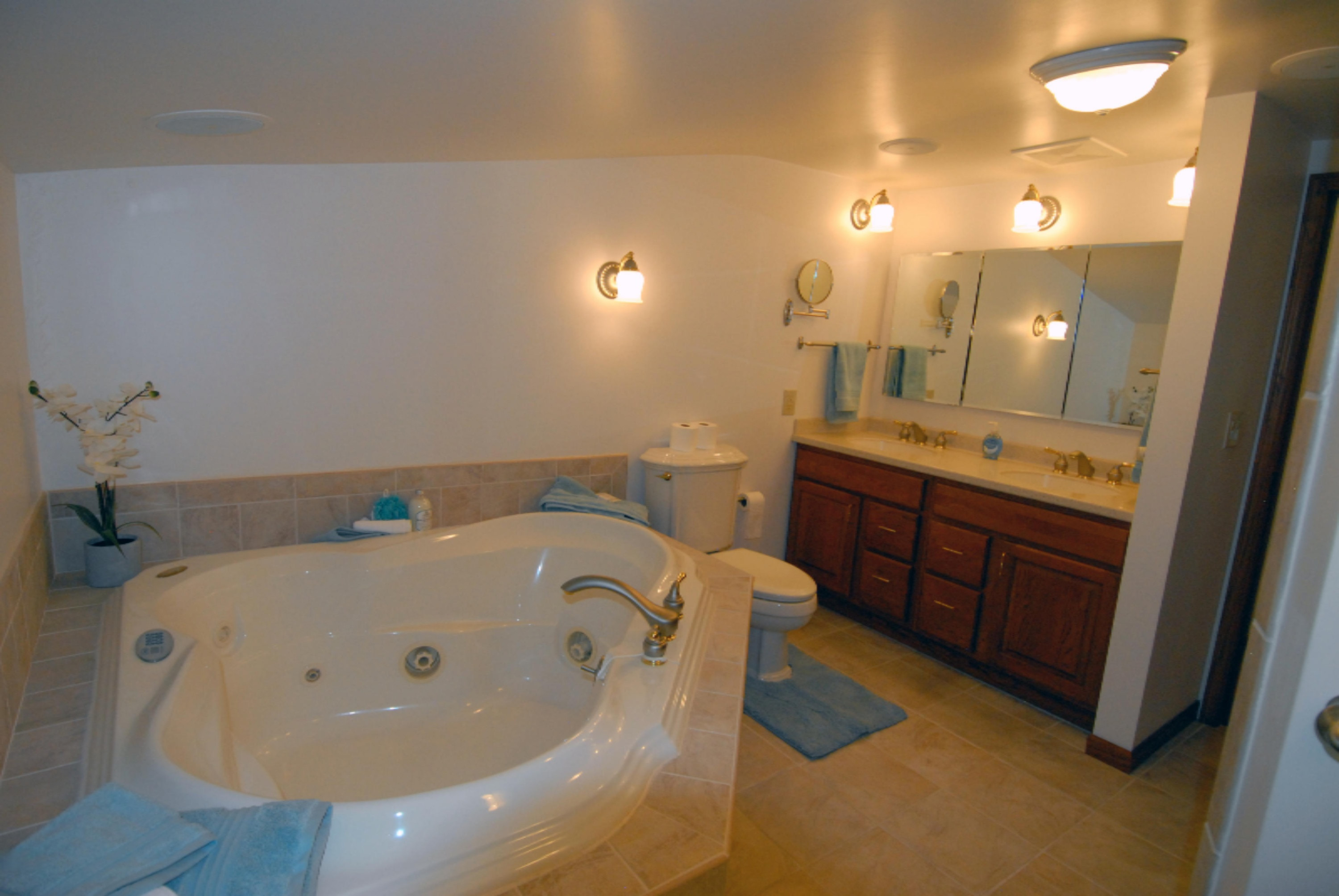 17156 Michigan Avenue Three Rivers, MI 49093 - Photo 23 of 47 Master bath