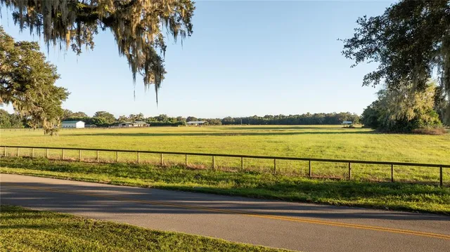 a view of ocean with a large tree and wooden fence