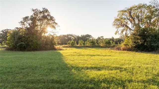 a view of outdoor space and yard