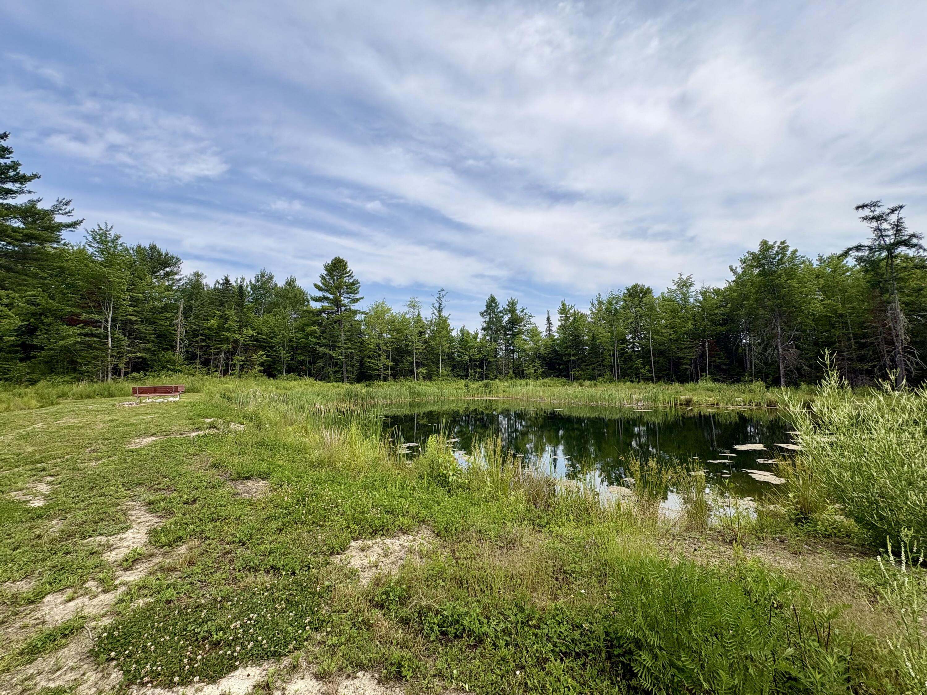 62 Old Keene Road Chester, ME 04457 - Photo 41 of 57 IMG_5129