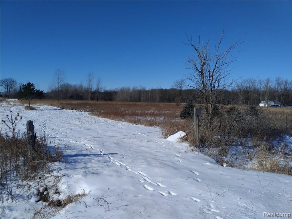 10 A Mason Road Yale, MI 48097 - Photo 7 of 8