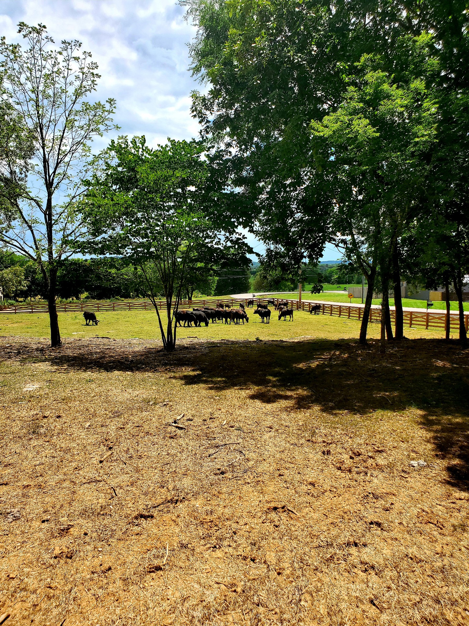 1025 A Burford Road Lebanon, TN 37087 - Photo 1 of 14 Gallery Image 1