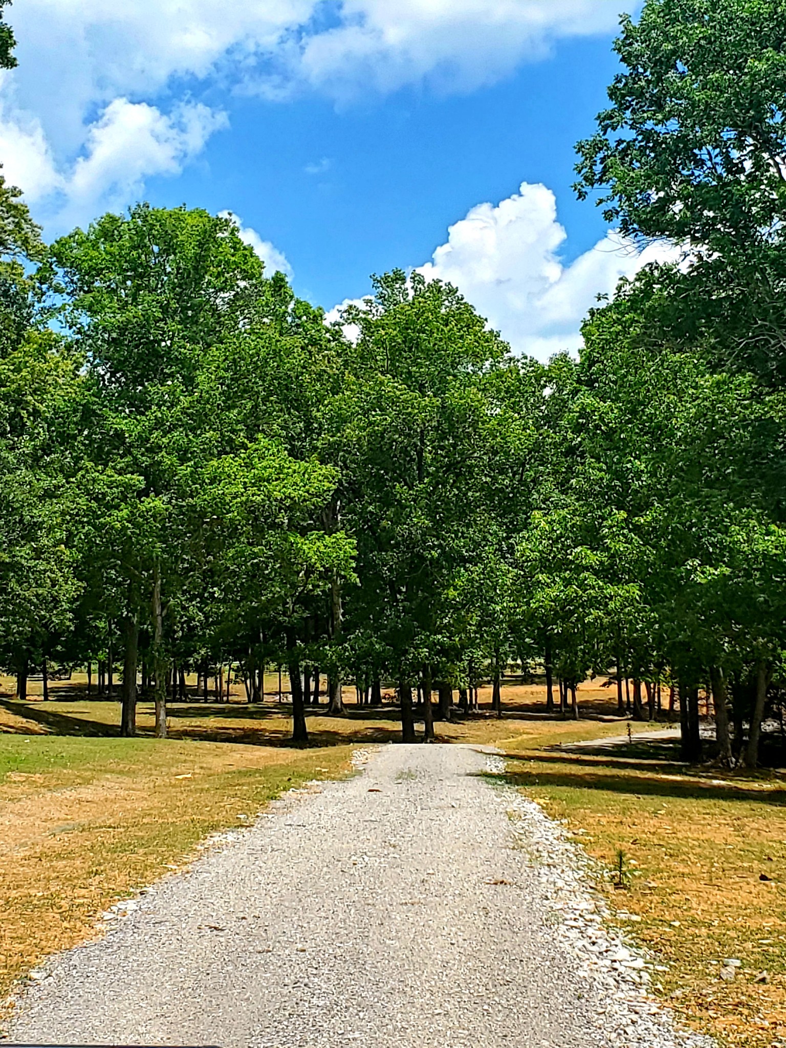 1025 A Burford Road Lebanon, TN 37087 - Photo 14 of 14 Gallery Image 14