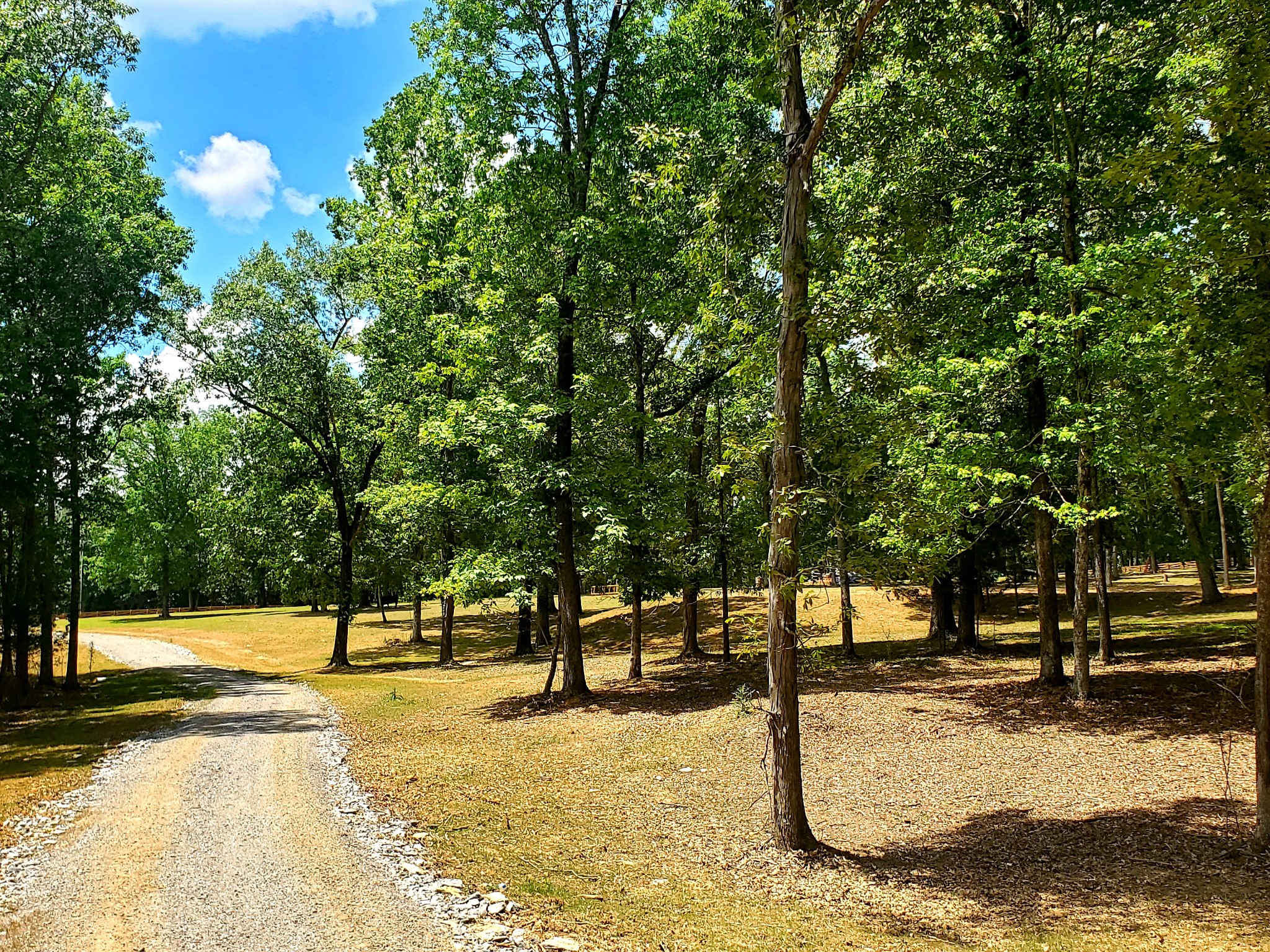 1025 A Burford Road Lebanon, TN 37087 - Photo 7 of 14 Gallery Image 7