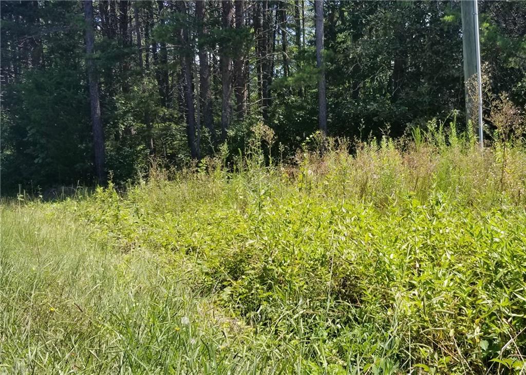 2901 2902/0 Doc Pugh Road Connelly Springs, NC 28612 - Photo 11 of 11 Gallery Image 11