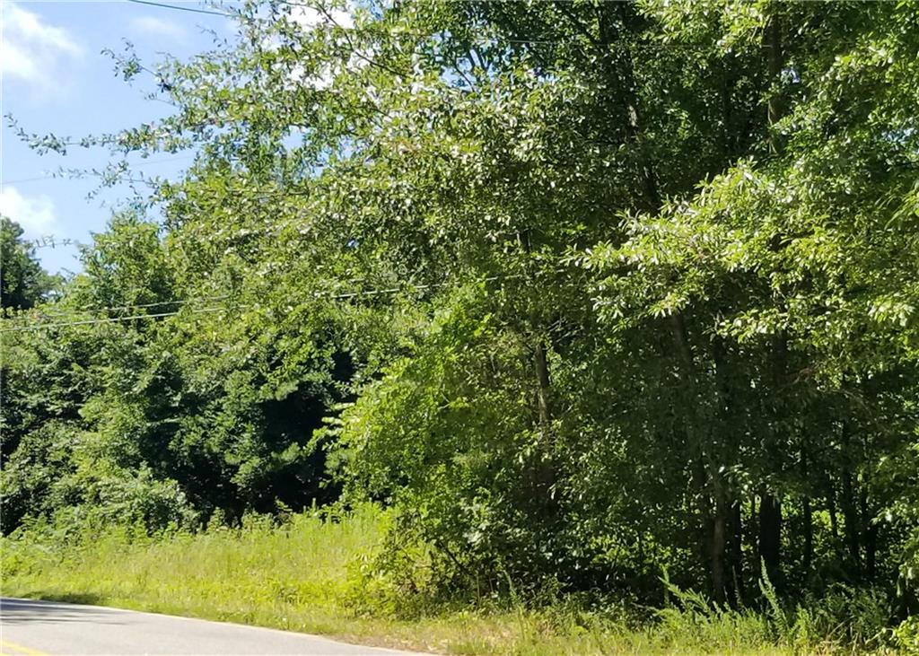 2901 2902/0 Doc Pugh Road Connelly Springs, NC 28612 - Photo 3 of 11 Gallery Image 3