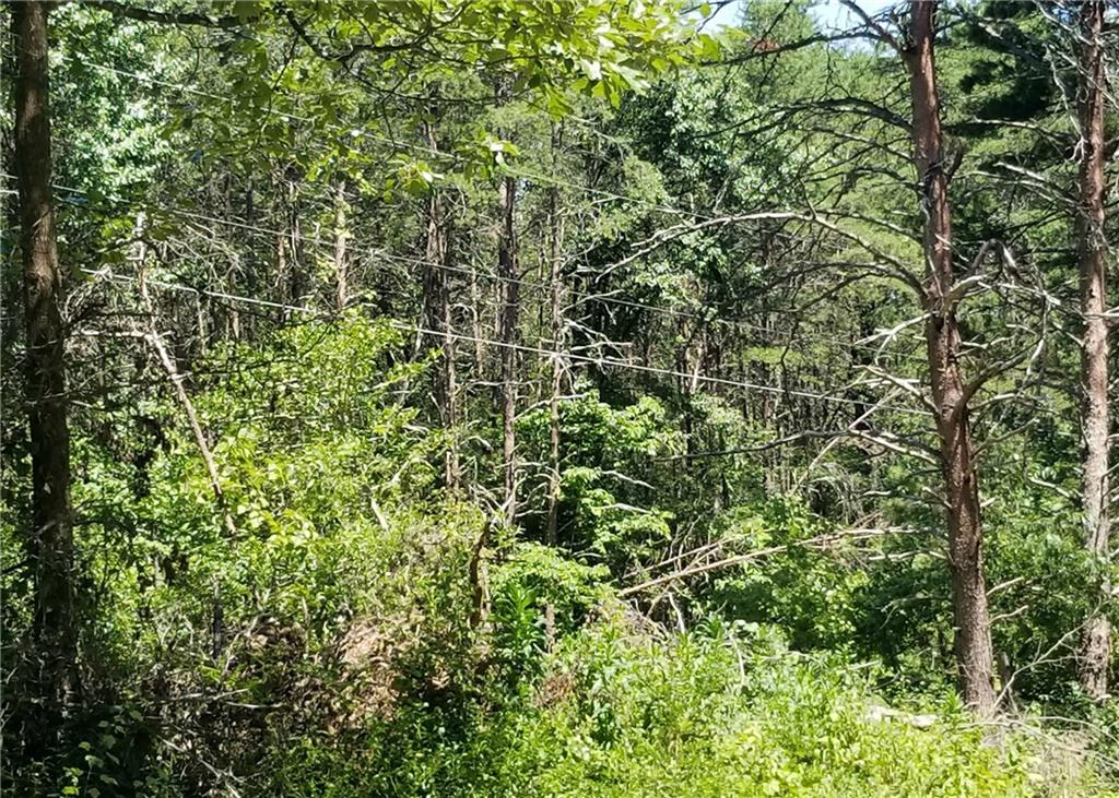 2901 2902/0 Doc Pugh Road Connelly Springs, NC 28612 - Photo 4 of 11 Gallery Image 4