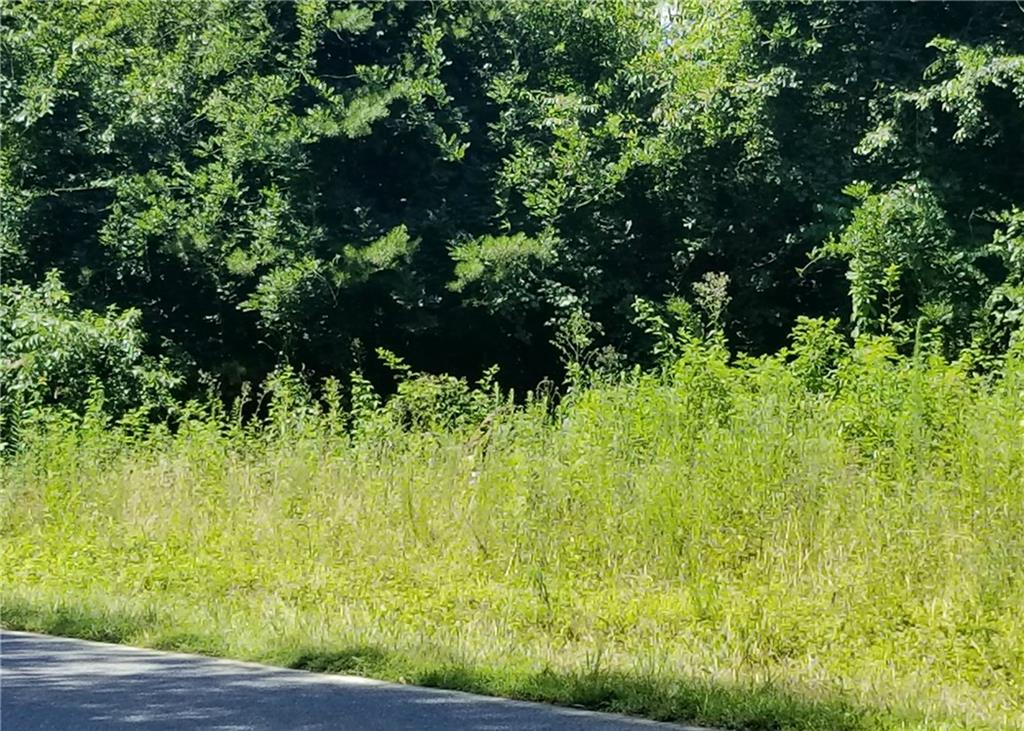 2901 2902/0 Doc Pugh Road Connelly Springs, NC 28612 - Photo 5 of 11 Gallery Image 5