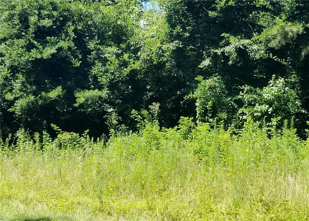 2901 2902/0 Doc Pugh Road Connelly Springs, NC 28612 - Photo 6 of 11 Gallery Image 6