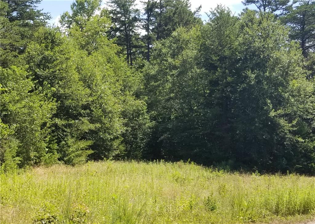 2901 2902/0 Doc Pugh Road Connelly Springs, NC 28612 - Photo 8 of 11 Gallery Image 8