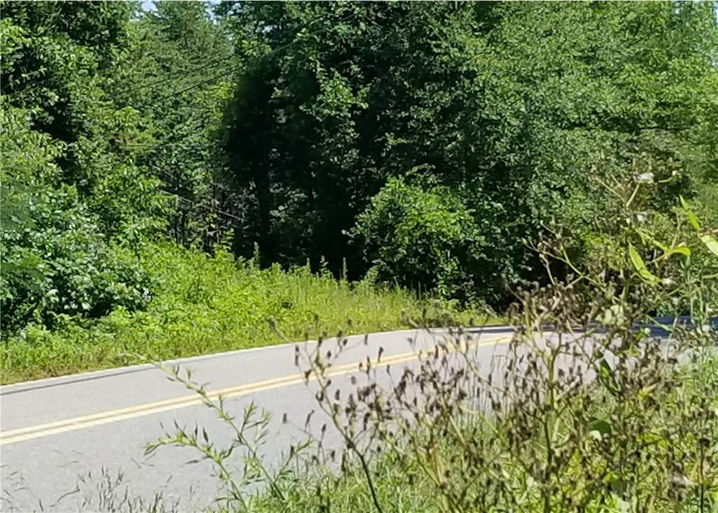 2901 2902/0 Doc Pugh Road Connelly Springs, NC 28612 - Photo 10 of 11 Gallery Image 10
