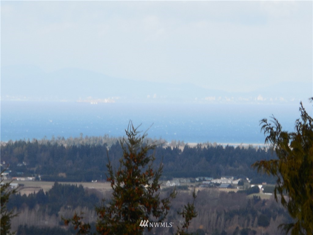 252 Ravens Ridge Road Sequim, WA 98382 - Photo 11 of 40 Gallery Image 11